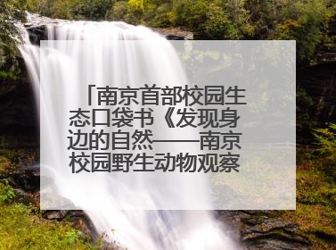 南京首部校园生态口袋书《发现身边的自然——南京校园野生动物观察手册》首发