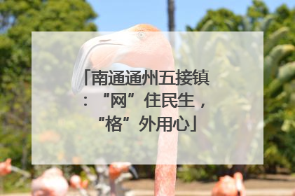 南通通州五接镇：“网”住民生，“格”外用心