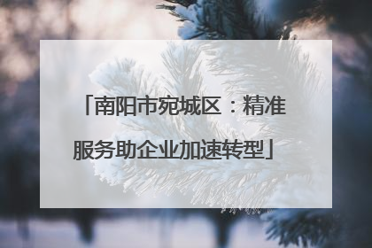 南阳市宛城区：精准服务助企业加速转型