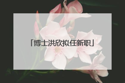 博士洪欣拟任新职