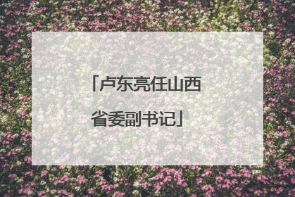 卢东亮任山西省委副书记