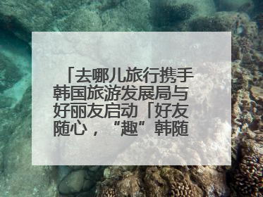 去哪儿旅行携手韩国旅游发展局与好丽友启动「好友随心，“趣”韩随行」高校路演