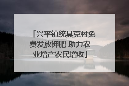 兴平镇统其克村免费发放钾肥 助力农业增产农民增收