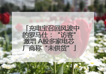 充电宝召回风波中的罗马仕：“访客”激增 A股多家电芯厂商称“未供货”