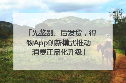 先鉴别、后发货，得物App创新模式推动消费正品化升级