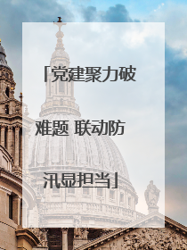 党建聚力破难题 联动防汛显担当
