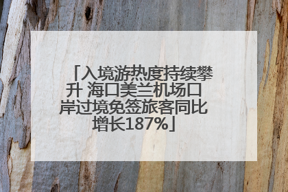 入境游热度持续攀升 海口美兰机场口岸过境免签旅客同比增长187%