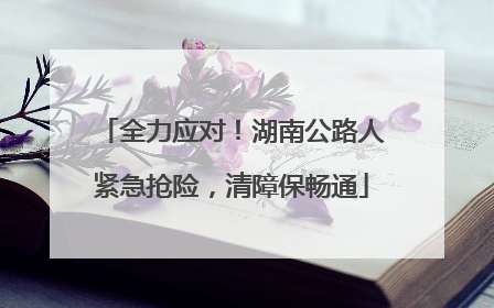 全力应对！湖南公路人紧急抢险，清障保畅通