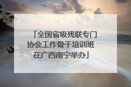 全国省级残联专门协会工作骨干培训班在广西南宁举办