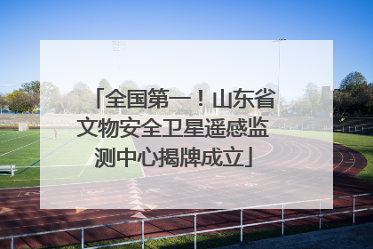 全国第一！山东省文物安全卫星遥感监测中心揭牌成立