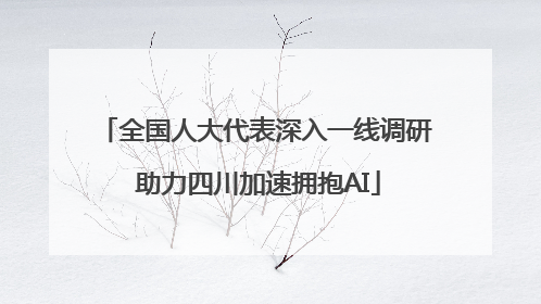 全国人大代表深入一线调研 助力四川加速拥抱AI