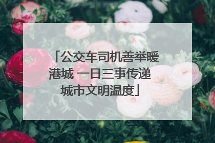 公交车司机善举暖港城 一日三事传递城市文明温度