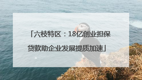 六枝特区：18亿创业担保贷款助企业发展提质加速