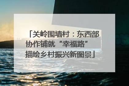 关岭围墙村：东西部协作铺就“幸福路” 描绘乡村振兴新图景