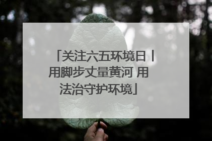 关注六五环境日丨用脚步丈量黄河 用法治守护环境
