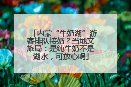 内蒙“牛奶湖”游客排队接奶？当地文旅局：是纯牛奶不是湖水，可放心喝