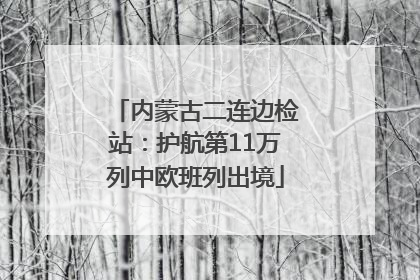内蒙古二连边检站：护航第11万列中欧班列出境
