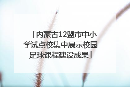 内蒙古12盟市中小学试点校集中展示校园足球课程建设成果