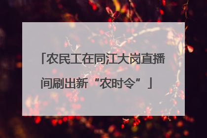 农民工在同江大岗直播间刷出新“农时令”