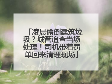 凌晨偷倒建筑垃圾？城管追查当场处理！司机带着罚单回来清理现场