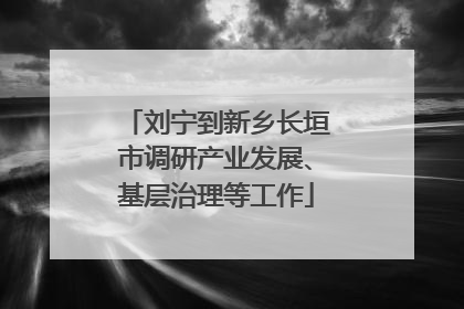 刘宁到新乡长垣市调研产业发展、基层治理等工作