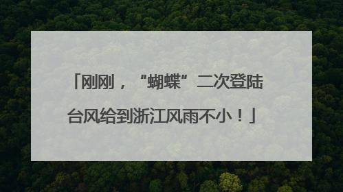 刚刚，“蝴蝶”二次登陆 台风给到浙江风雨不小！