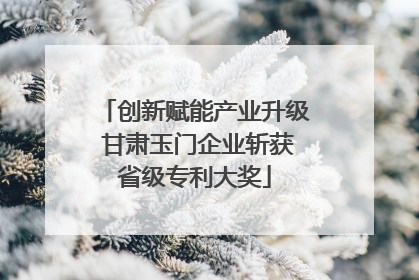 创新赋能产业升级 甘肃玉门企业斩获省级专利大奖