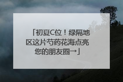 初夏C位！绿隔地区这片芍药花海点亮您的朋友圈→