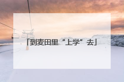 到麦田里“上学”去