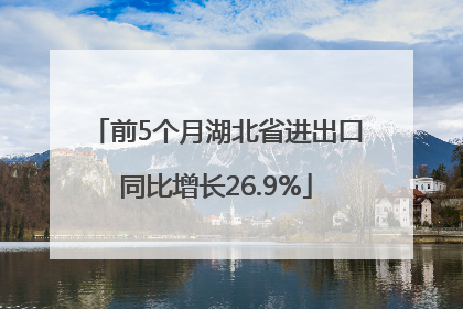前5个月湖北省进出口同比增长26.9%