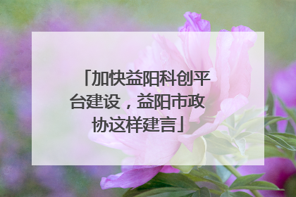 加快益阳科创平台建设，益阳市政协这样建言