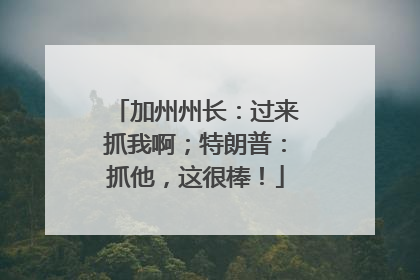 加州州长：过来抓我啊；特朗普：抓他，这很棒！