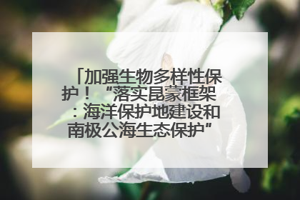 加强生物多样性保护！“落实昆蒙框架：海洋保护地建设和南极公海生态保护”主题论坛将举办