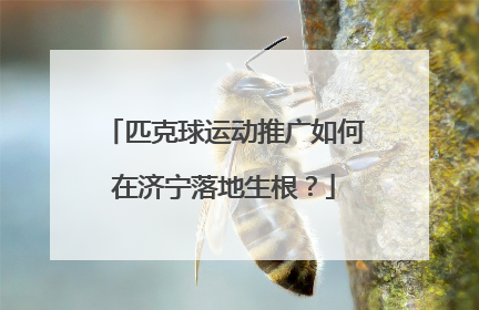 匹克球运动推广如何在济宁落地生根？