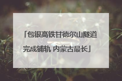 包银高铁甘德尔山隧道完成铺轨 内蒙古最长