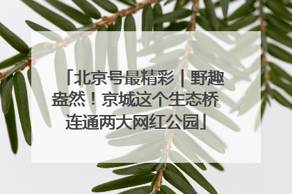 北京号最精彩｜野趣盎然！京城这个生态桥连通两大网红公园