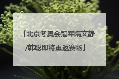 北京冬奥会冠军隋文静/韩聪即将重返赛场