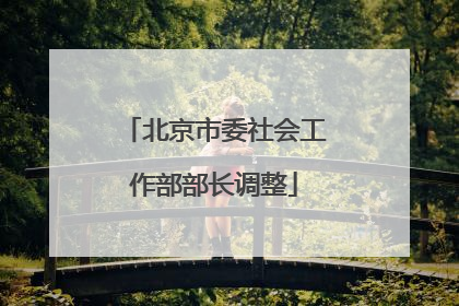 北京市委社会工作部部长调整