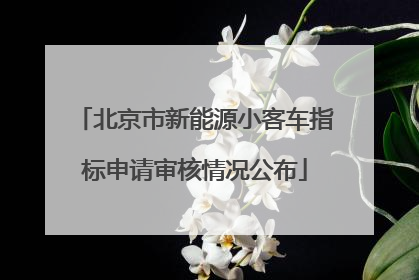 北京市新能源小客车指标申请审核情况公布