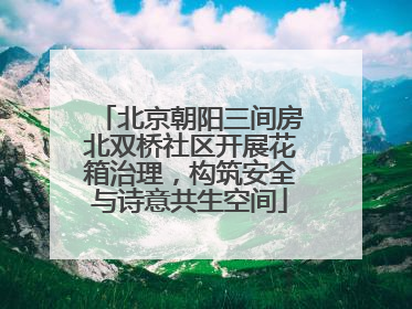 北京朝阳三间房北双桥社区开展花箱治理，构筑安全与诗意共生空间