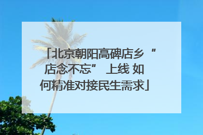 北京朝阳高碑店乡“店念不忘” 上线 如何精准对接民生需求