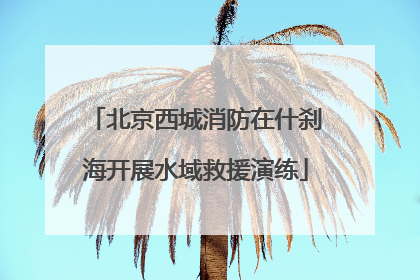 北京西城消防在什刹海开展水域救援演练