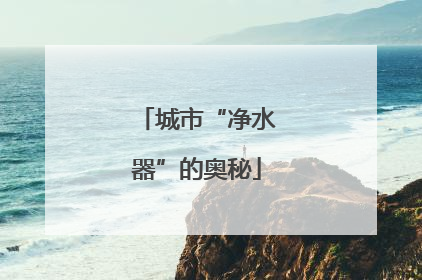 城市“净水器”的奥秘