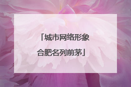 城市网络形象合肥名列前茅