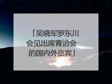 吴晓军罗东川会见出席青洽会的国内外嘉宾