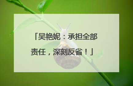 吴艳妮：承担全部责任，深刻反省！