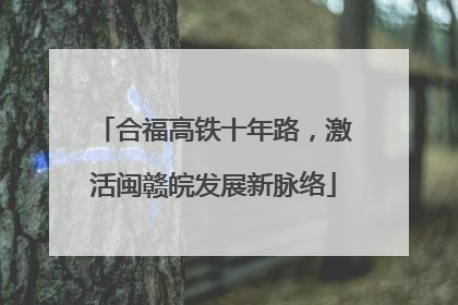 合福高铁十年路，激活闽赣皖发展新脉络