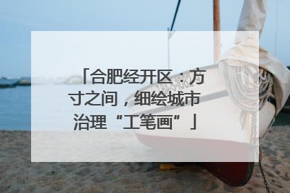 合肥经开区：方寸之间，细绘城市治理“工笔画”