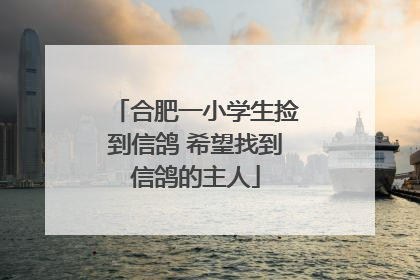 合肥一小学生捡到信鸽 希望找到信鸽的主人