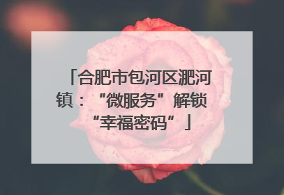 合肥市包河区淝河镇：“微服务”解锁“幸福密码”